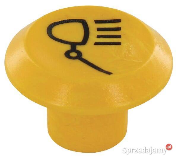 Symbol przełącznika lamp roboczych okrągły żółty Kamionna