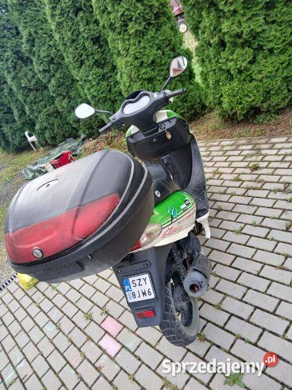 Sprzedam Kamesznica sprzedam