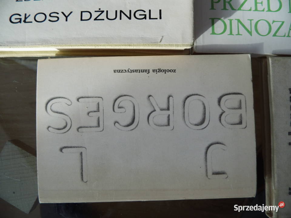 Zestaw książek zoologicznych Literatura Radzewice