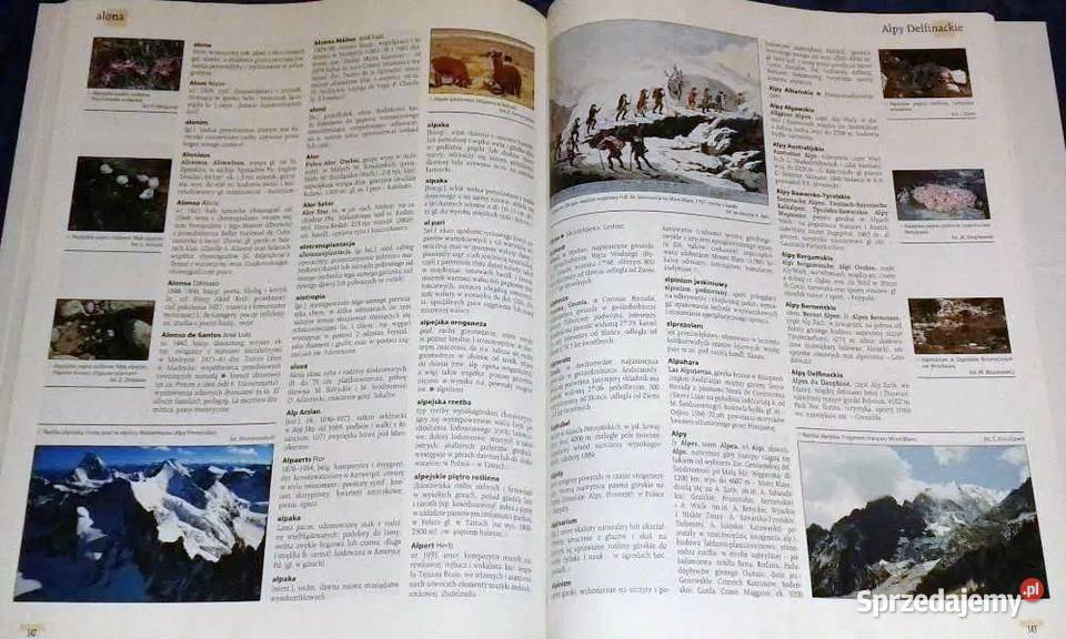 Encyklopedia Powszechna PWN Tom 1 Red B Chełm