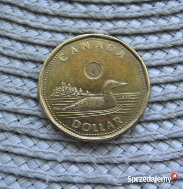 Kanada 1 Dolar 2015r Numizmatyka Kalisz