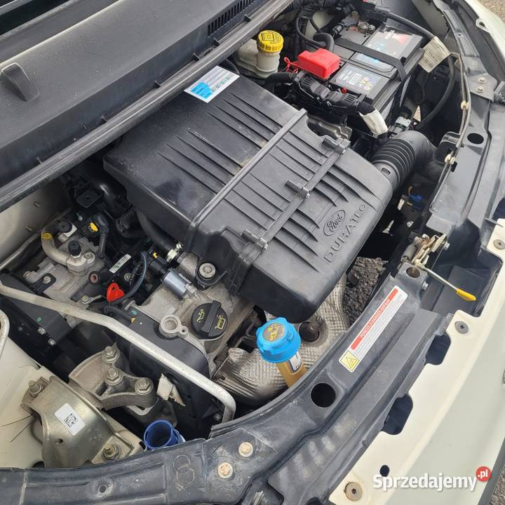 Ford KA 12i Klima 2/3 Gliwice