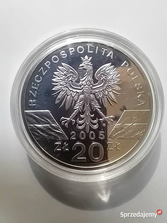 Moneta 20 Puchacz 2005 MENNICZA Srebro Numizmatyka Poznań