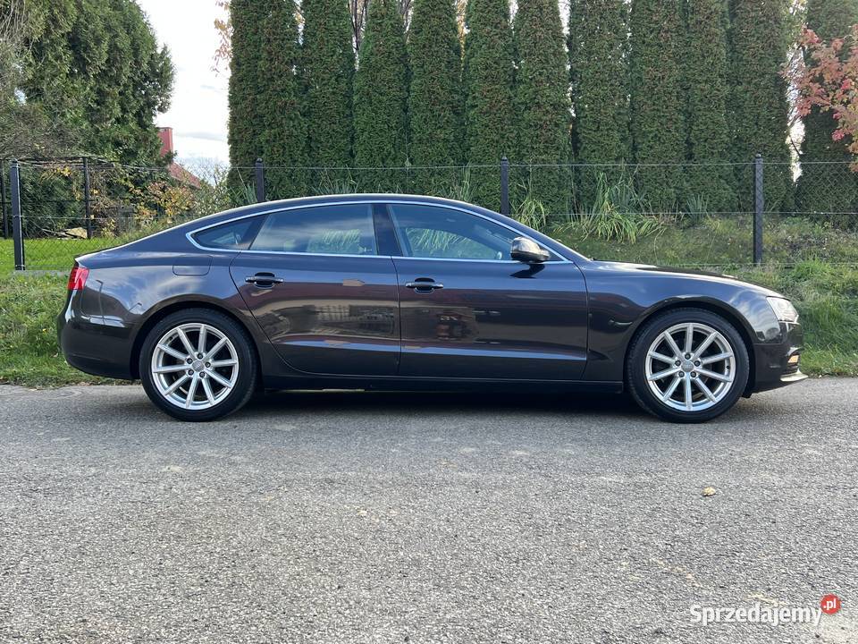 20 TDI 190 QUATTRO Brązowe skóry łopatki zmiany