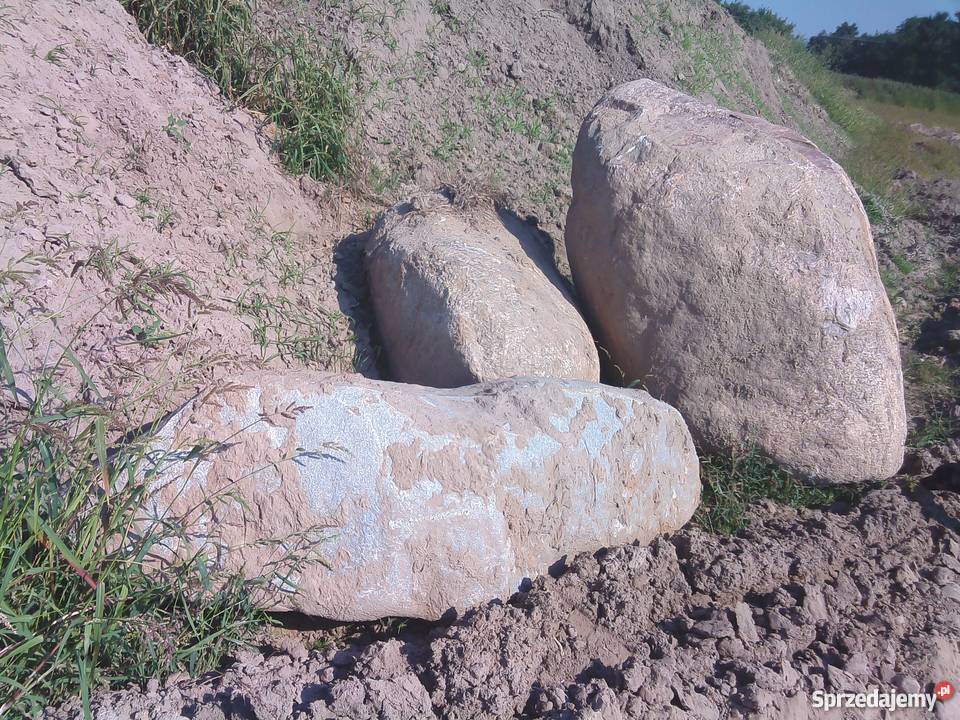 Sprzedam duże kamienie głazy 50 Kowala-Duszocina