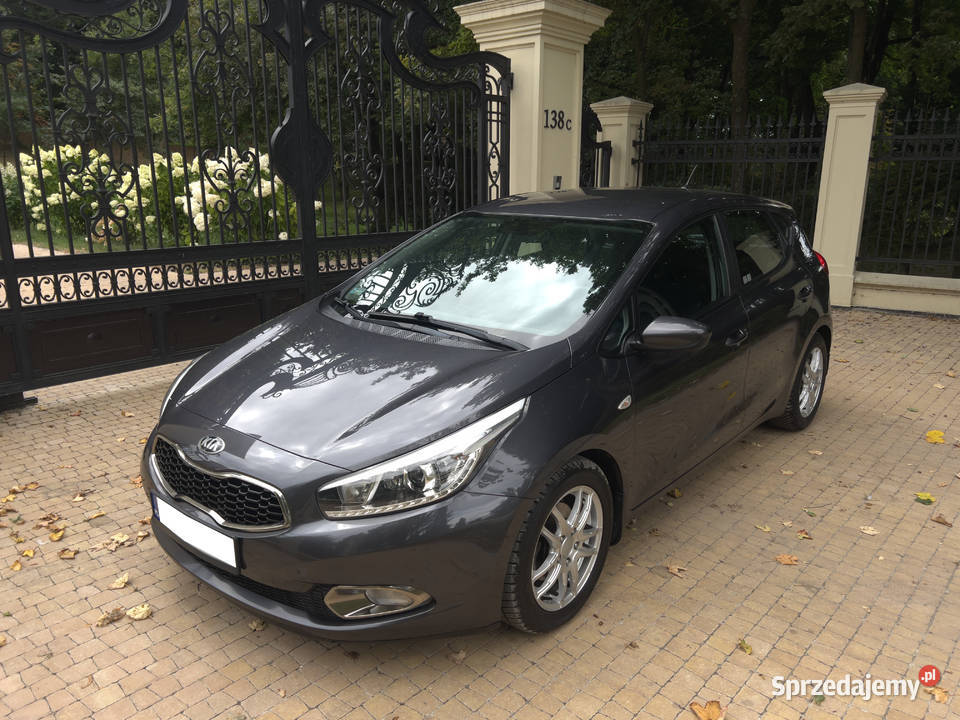 Kia Ceed 16 CRDI 128 Hatchback Salon Polska Nowa Słupia sprzedam