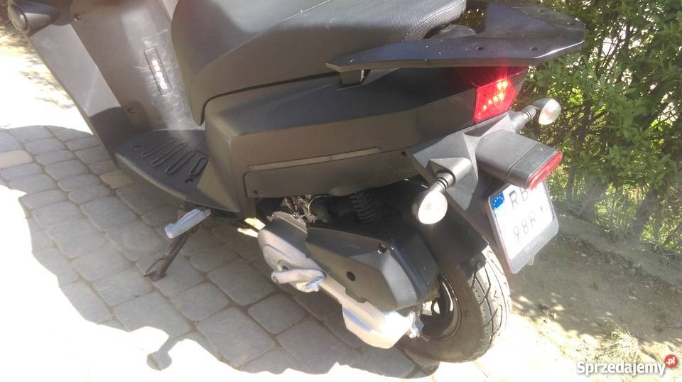 Explorer Kalio pas napędowy Turze Pole