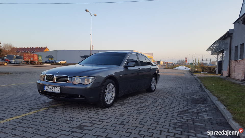 E65 Zarejstrowany Anglik Zamość