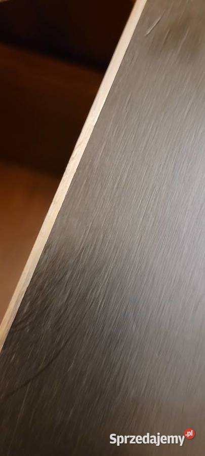 narty rossignol temptation pro kids 80 idealne