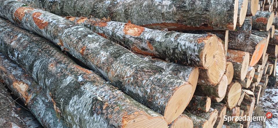 Sprzedam brzozę łupaną Swarzędz sprzedam