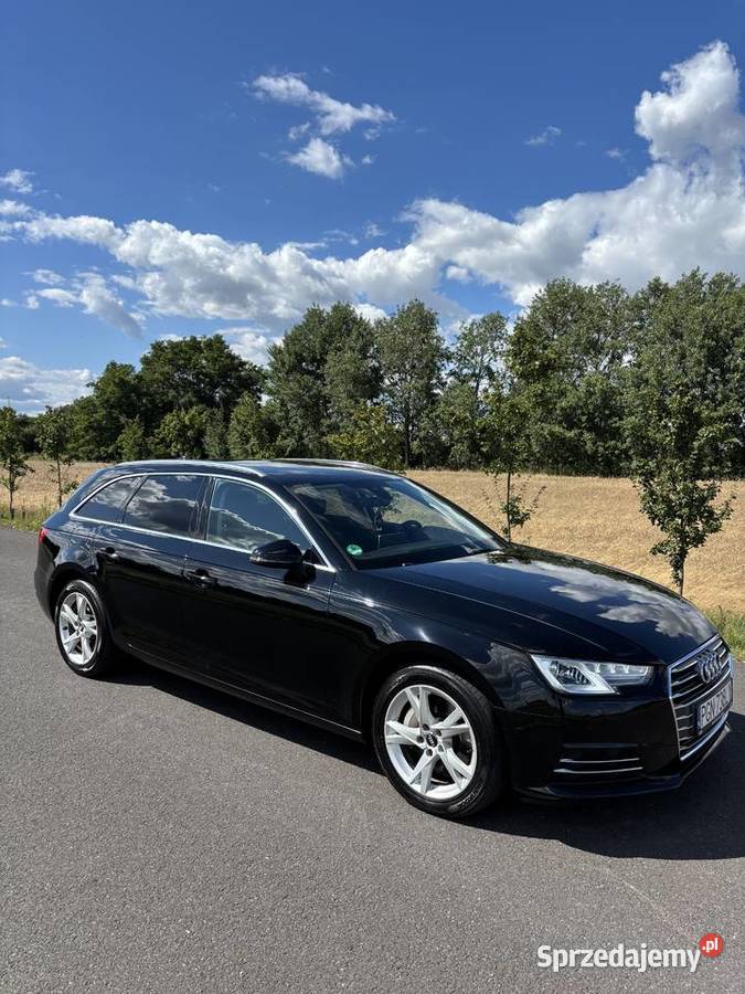 Audi A4 B9 20 TDI 190 nieuszkodzony A4 Niechanowo