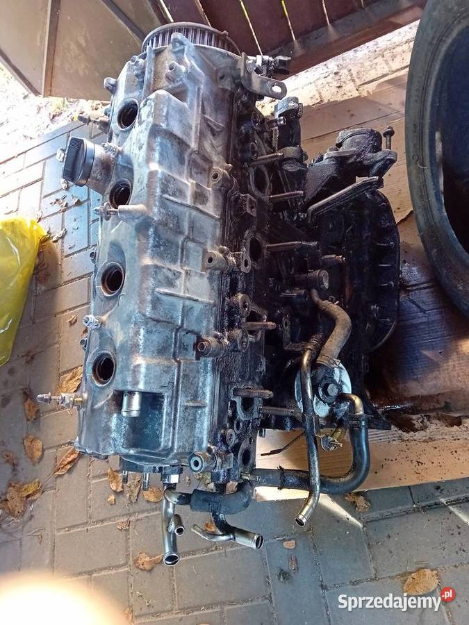 Silnik toyota avensis Verso 1CD D4D 116