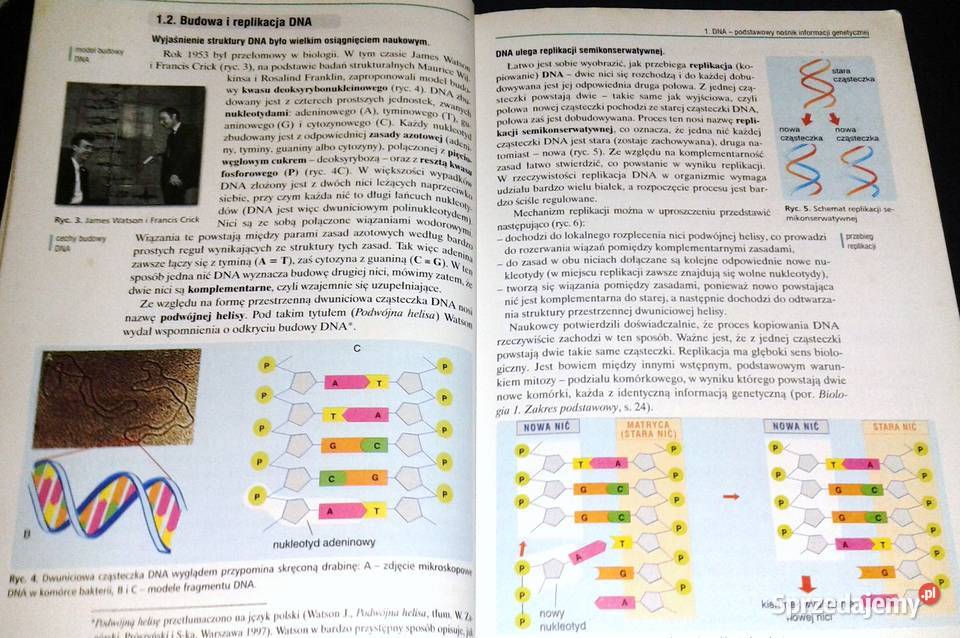 Biologia 2 Podręcznik Jacek Balerstet Ewa Chełm