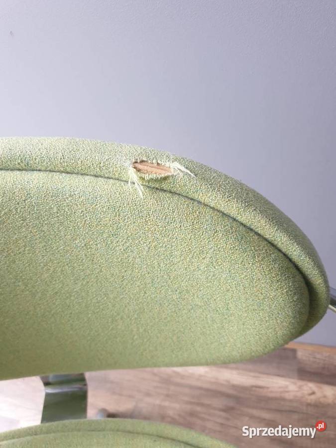 Fotel Obrotowy Zielony Przyszowa