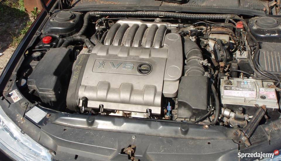 Peugeot 406 Lift 29 207 kolor EXL NA CZĘŚCI Piotrków Trybunalski
