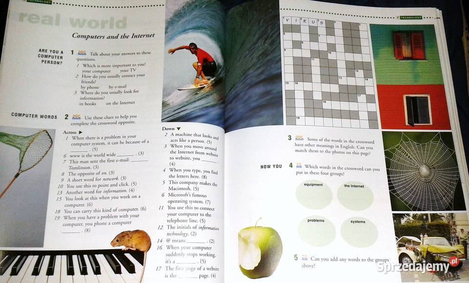 Powerbase Elementary David Evans Chełm