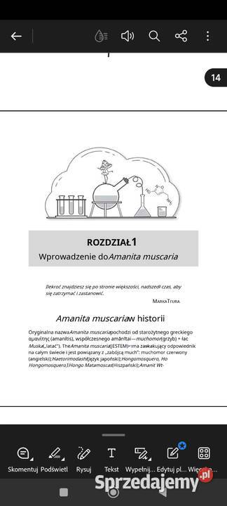 Mikrodozowanie Amanita Muscaria PDF Wrocław sprzedam