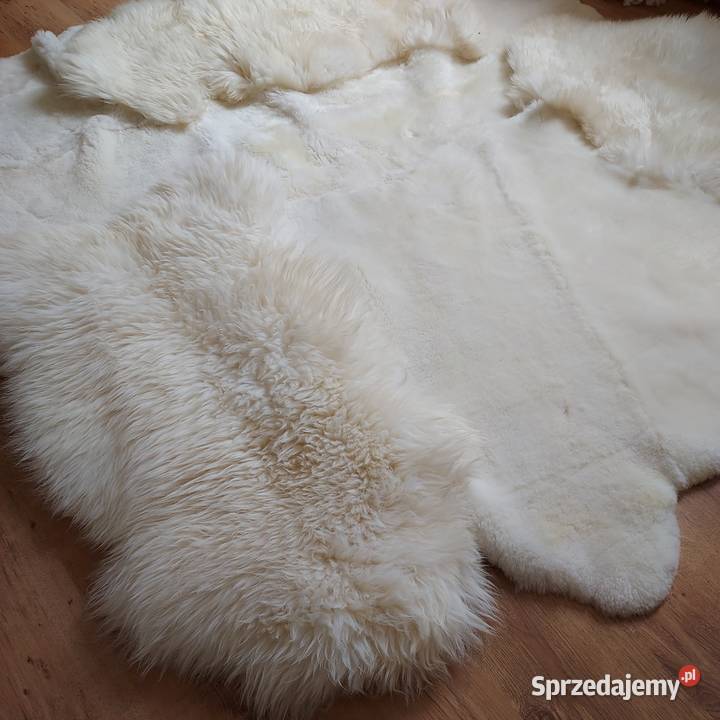 Designerski Dywan Ze Skór Owczych Naturalnych Szaflary