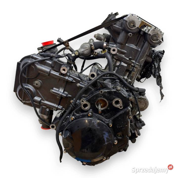 SILNIK P503 Suzuki SV650 SV 650 19992002 sprawny Chełm