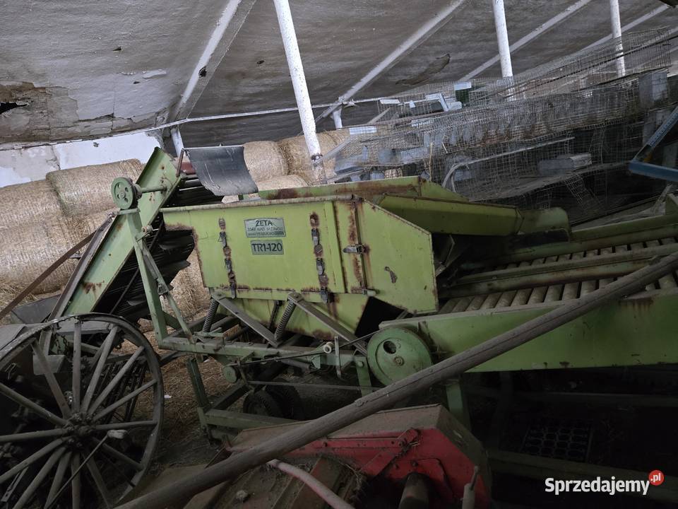 Sortownik warzyw ziemniaków Nysa sprzedam