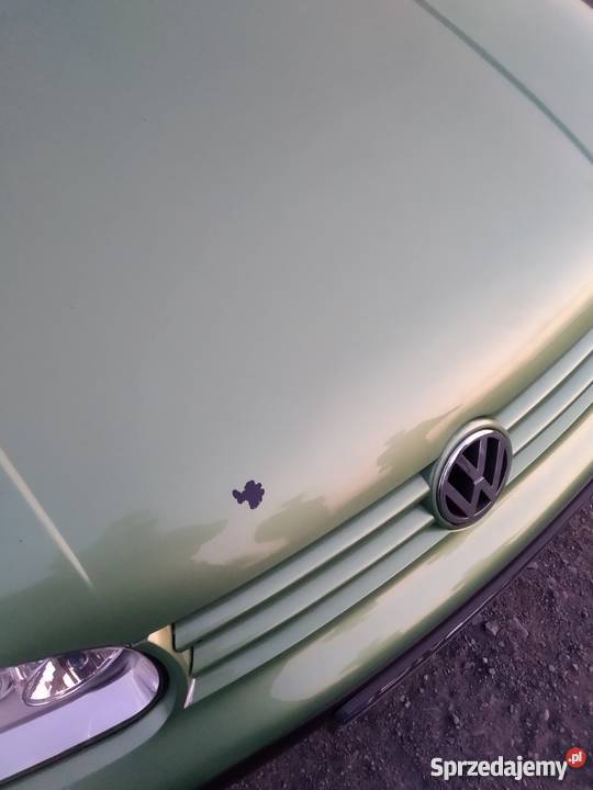 Volkswagen Golf 4 Benzyna 14 75 Zielony wielkopolskie Wolsztyn