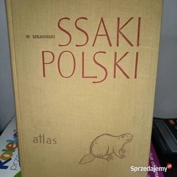 Ssaki Polski pierwsze wydanie książki księgarnia Gdańsk
