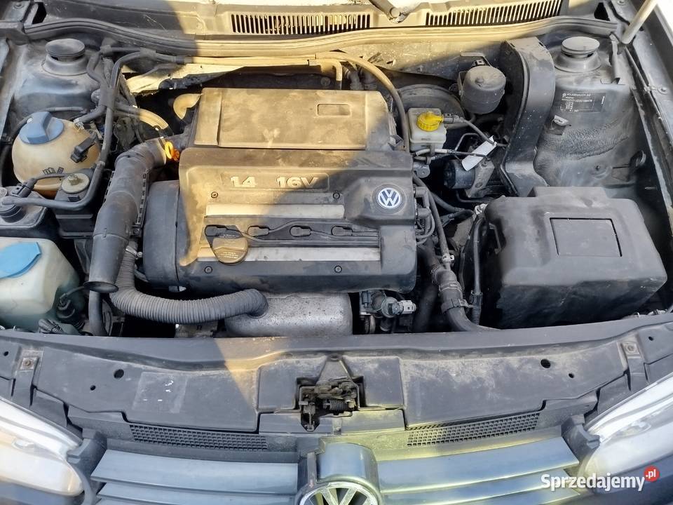 Sprzedam golf 4 231km Mieszkowice