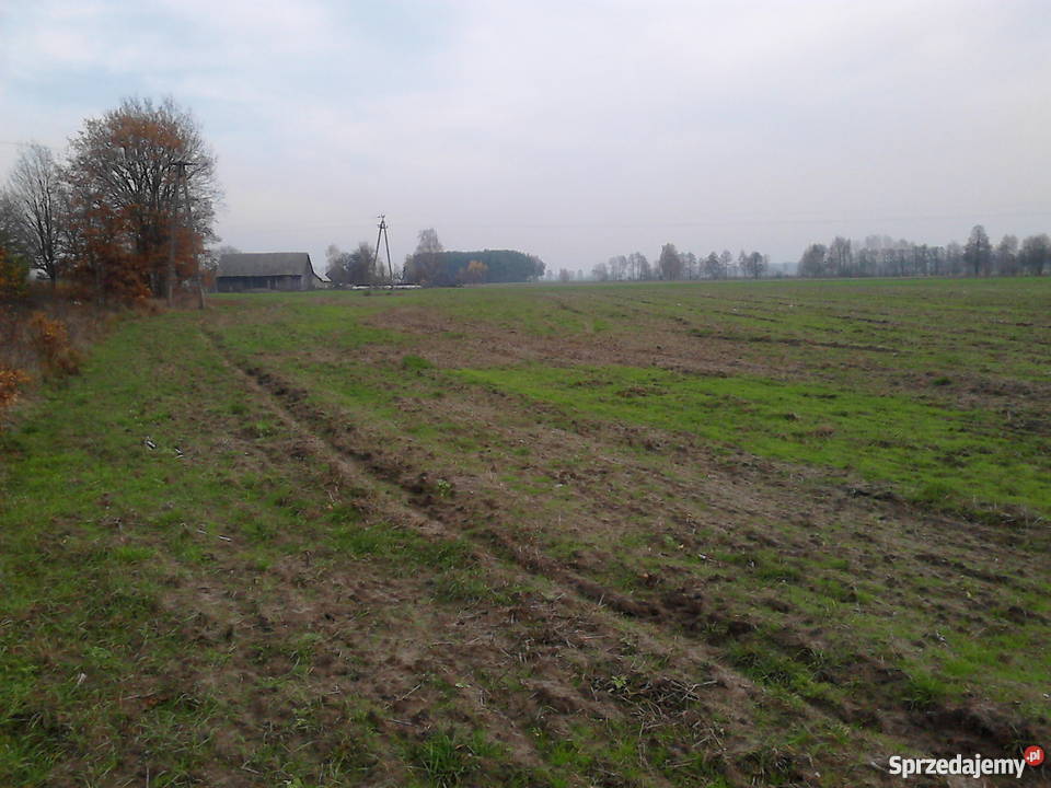 Ziemia rolna i las sosnowy 16 ha spokojna Runowo