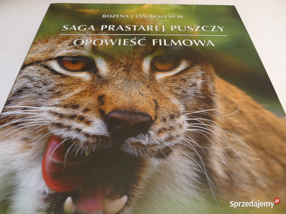 JAN WALENCIK Saga Prastarej Puszczy Radom