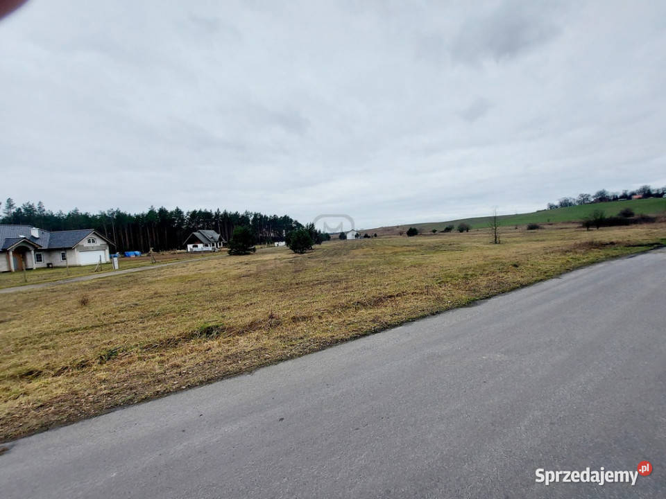 4 działki pod zabudowę jednorodzinną Zwierzyn budowlana