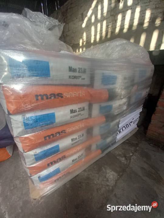 Kukurydza materiał siewny MAS KWS KORIT Biskupice
