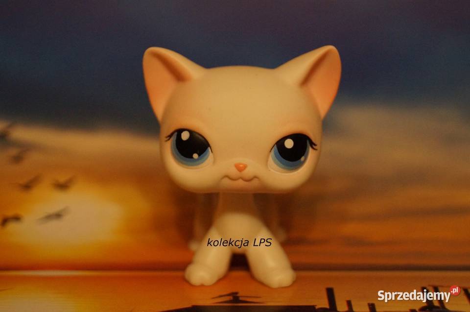 LPS Littlest Pet Shop shorthair 64 oryginalny śląskie Rybnik sprzedam