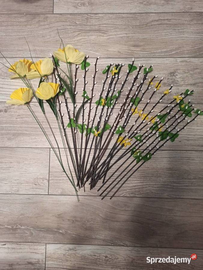 Sztuczne gałązki bazi i żonkile bazie żonkil Warszawa