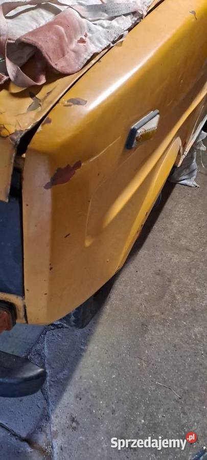 Tarpan blotniki mazowieckie Mińsk Mazowiecki