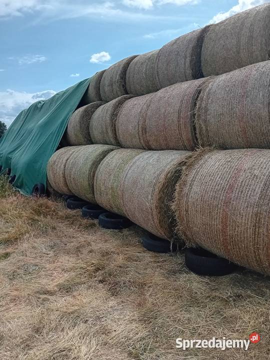 Sprzedam Siano lubuskie Datyń