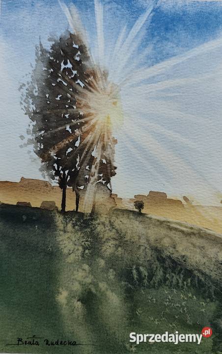 Obraz Akwarela Prześwity Oryginał Papier kujawsko-pomorskie Mogilno