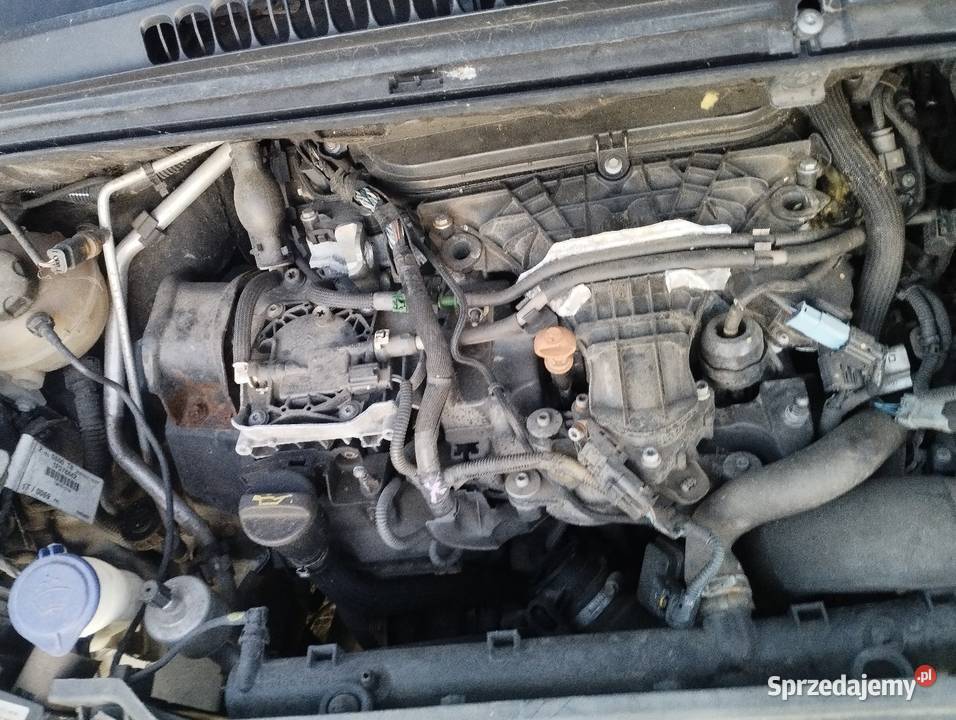 Peugeot 5008 Gostyń