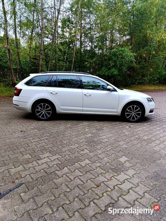 Skoda Octavia III 16 TDI DSG Sosnowiec