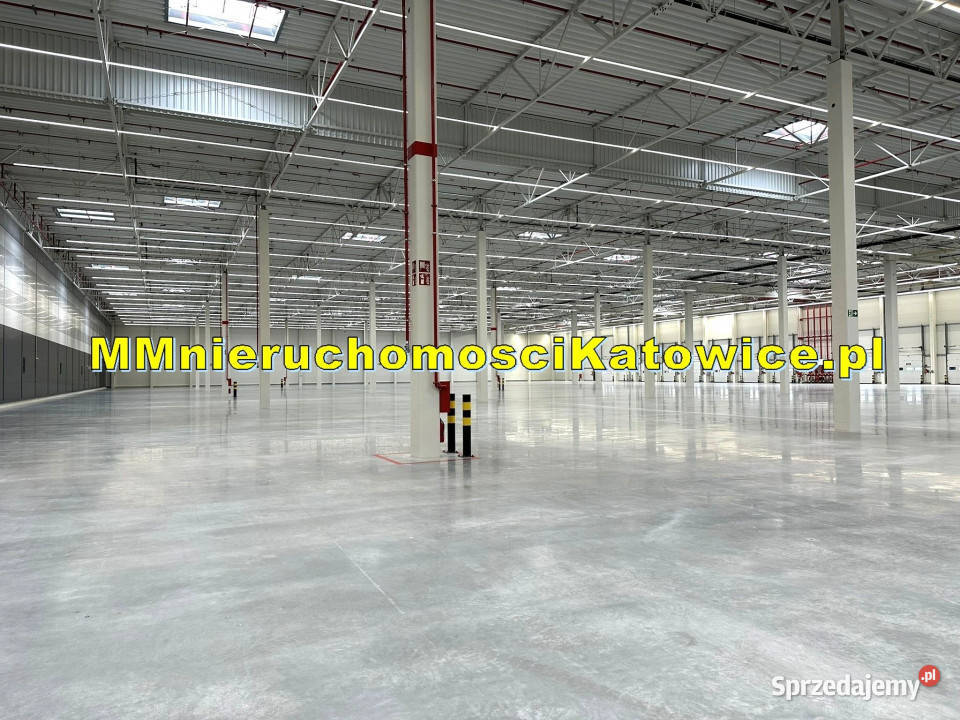 Magazyny do wynajęcia śląskie Mysłowice A4 i S1