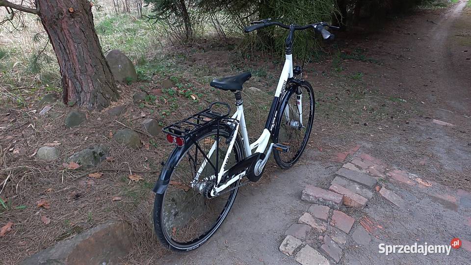 Alu Rower Miejski Damski BBF Marsseille Nexus 7 dolnośląskie Wołów