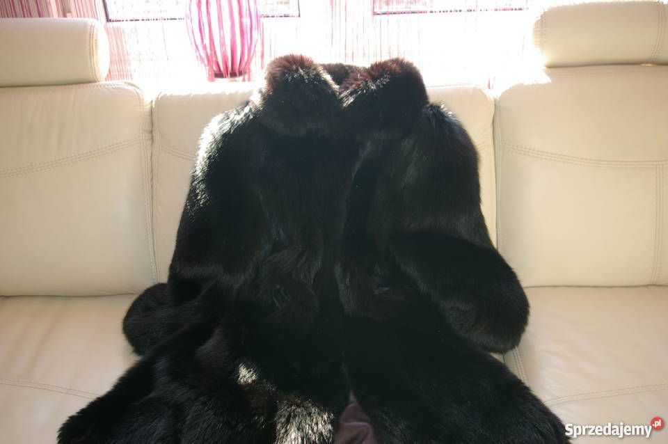 FUTRO Z LISA CZARNEGO Białystok