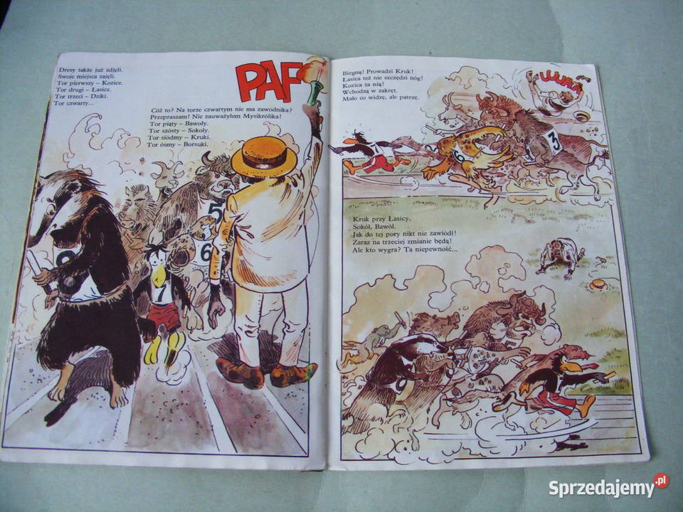 O zaginionych żeglarzach Wesołe ptaki Kot w Oborniki Śląskie