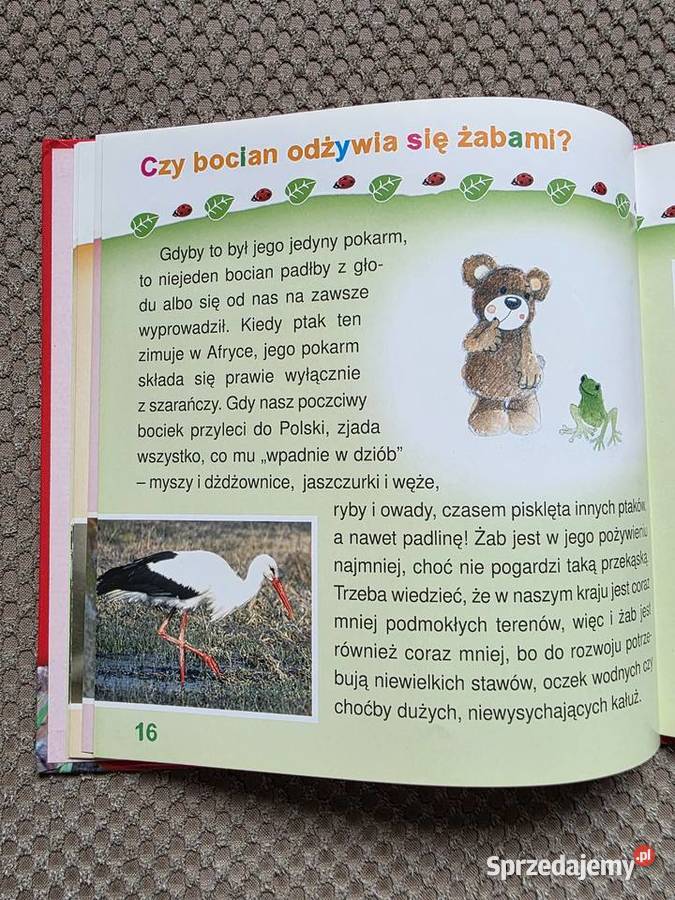 seria Zapytaj Misia o ZWIERZĘTA małopolskie