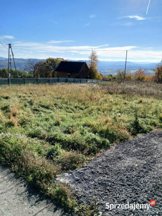 działka w Wojakowej Wojakowa