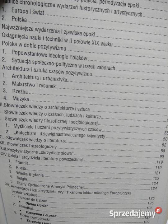 Literacka baza danych pozytywizm outlet używane Warszawa