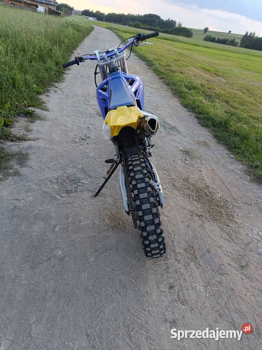 Diabolini MZK 250 Rok produkcji 2020 Jabłonka
