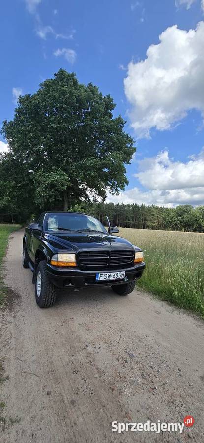 Dodge Dakota Automat 36 Magnum V6 200 koni Rok produkcji 2000 Nowy Tomyśl