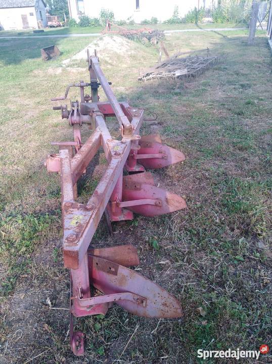 Plug mazowieckie Topolnica