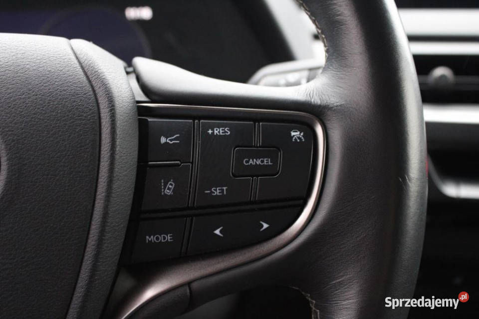 Lexus UX 2020r Kamera Podgrzew Fotele Blis As Gdańsk