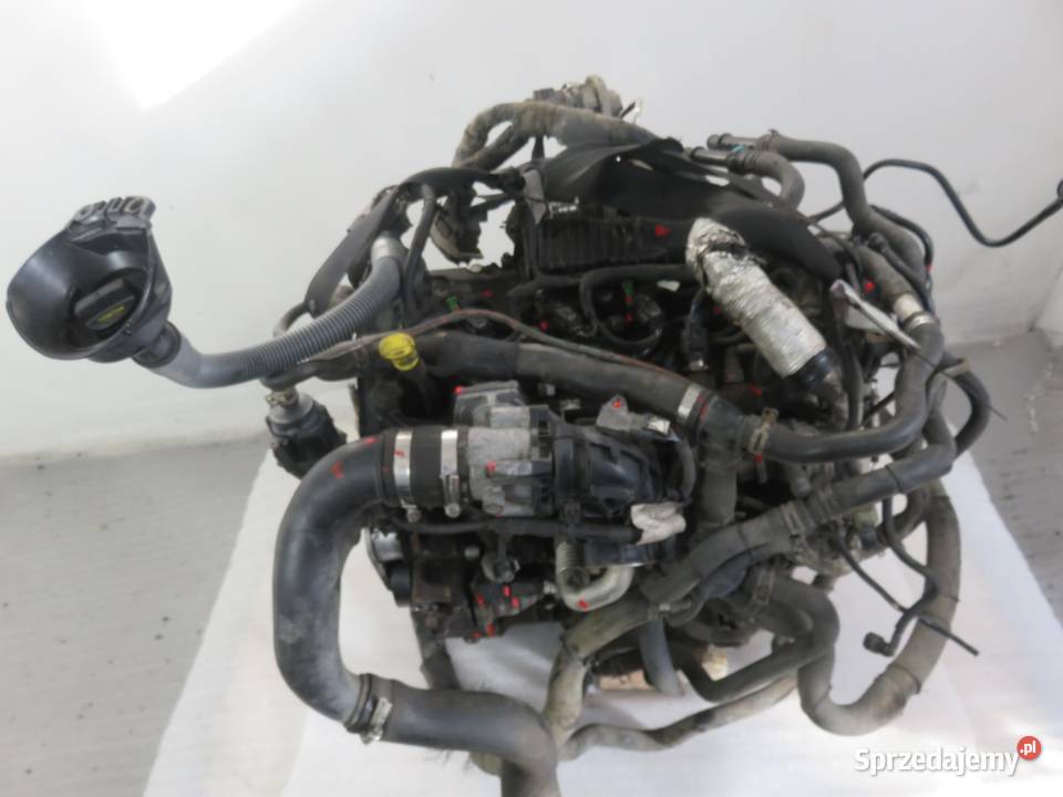 SILNIK FORD TRANSIT CUSTOM 20 ECOBLUE YLF6 EURO osobowe Motoryzacja sprzedam
